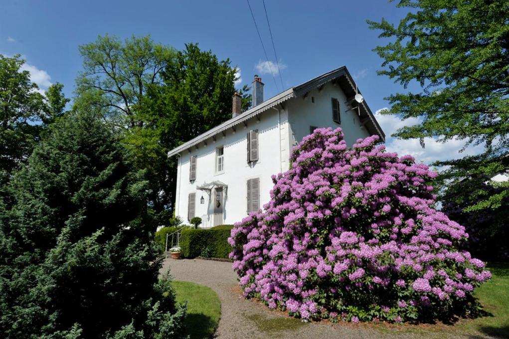 La Maison D'Hotes Du Parc Ronchamp Bagian luar foto